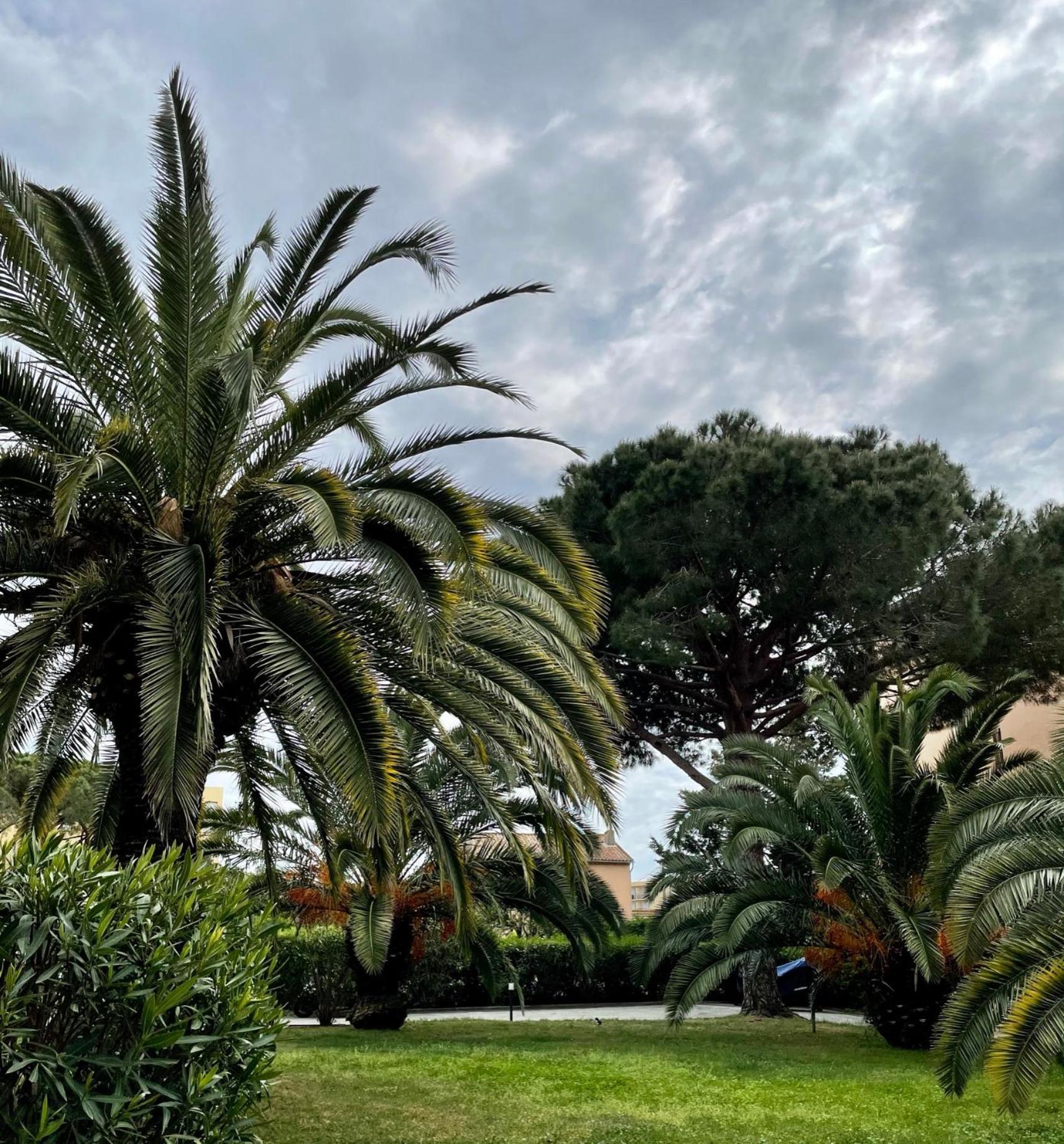 Appartement Saint Tropez Eksteriør bilde